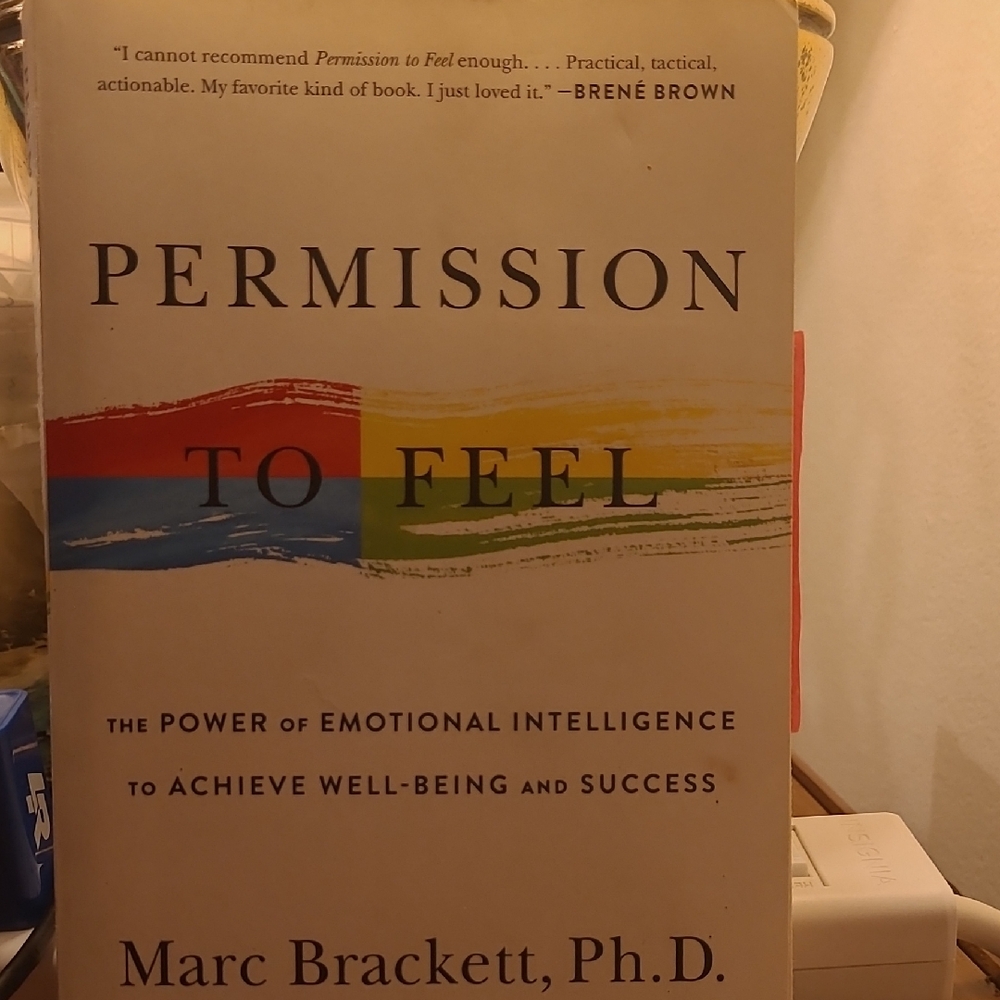 Permission To Feel - Marc Brackett